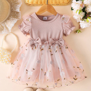 Mesh Embroidery Flower Trim Short Sleeve Dress